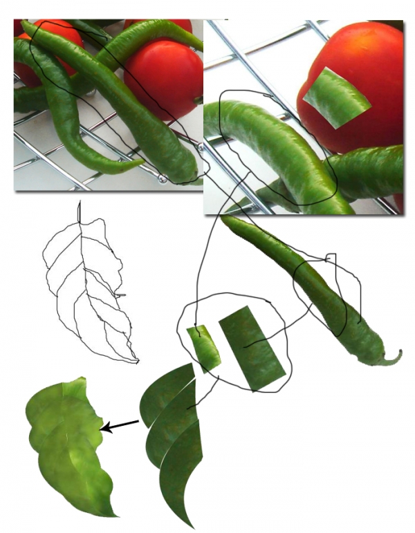 Creation of Life Fruit: Step 5